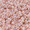 Glass Seed Beads SEED-H002-H-1310-3