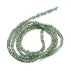 Natural Green Apatit Beads Strands G-H042-B12-01C-3