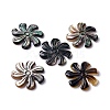 Natural Black Lip Shell Pendants SHEL-P015-04-1