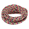 5M Nylon Coated 304 Stainless Steel Braided Wires TWIR-TA0001-07B-3
