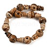 Natural Picture Jasper 3-Hole Guru Beads Strands G-H064-E06-01-3