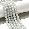 Natural Myanmar Jadeite Beads Strands G-L595-C01-02-2