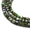 Natural Diopside Beads Strands X-G-G161-C23-01-4