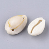 Cowrie Shell Links connectors X-SSHEL-Q310-01B-02-2