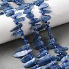 Natural Kyanite Beads Strands G-J403-02-5