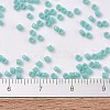 MIYUKI Delica Beads SEED-MY11-DB1136-3