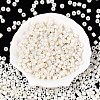 Baking Paint Pearlized Glass Seed Beads SEED-T008-03A-3