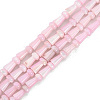 Natural Freshwater Shell Beads Strands SHEL-G013-02G-1