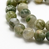 Natural Tree Agate Beads Strands X-G-K194-8mm-02-3