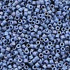 MIYUKI Delica Beads SEED-MY11-DB2317-2