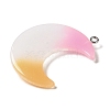 Gradient Color Translucent Resin Pendants FIND-Z006-03C-2