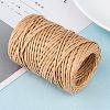 Handmade Iron Wire Paper Rattan OCOR-WH0017-02-6