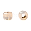 TOHO 11/0 Round Beads X-SEED-TR11-PF2111-4