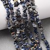 Natural Sodalite Chips Beads Strands F024-5