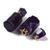 Natural Amethyst Perfume Bottle Pendants G-A026-16B-02-2