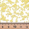 13/0 Glass Seed Beads SEED-T005-14A-A04-4