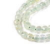 Natural Prehnite Beads Strands G-N342-125-3