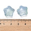 Transparent Glass Beads GLAA-B029-01I-3