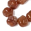 Natural Red Agate Beads Strands G-M108-A07-01-3