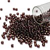 TOHO 6/0 Round Beads SEED-TR06-0026C-1