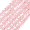 Natural Rose Quartz Beads Strands G-F817-A01-01-3
