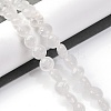 Natural Quartz Crystal Beads Strands G-T047-A01-01-2