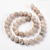 Round Natural Crazy Lace Agate Beaded Strands G-L374-01-8mm-2