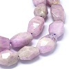 Natural Kunzite Beads Strands G-O173-021A-3