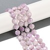 Natural Kunzite Beads Strands G-C116-A53-01-1