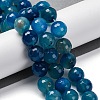 Natural Agate(Dyed & Heated) Beads Strands G-K390-A17-01-2