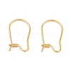 304 Stainless Steel Hoop Earring Findings STAS-P223-01G-06-1