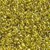 TOHO 8/0 Round Beads SEED-XTR08-1013-2