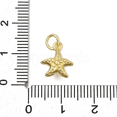 Brass Charms LS-ZIRC-I070-085G-1