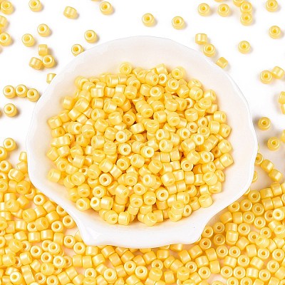Baking Paint Pearlized Glass Seed Beads SEED-T008-03D-1