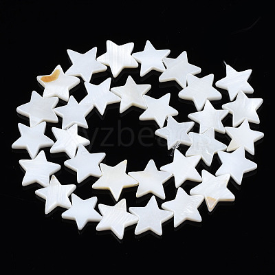 Natural Freshwater Shell Beads Strands SHEL-S278-01D-01-1