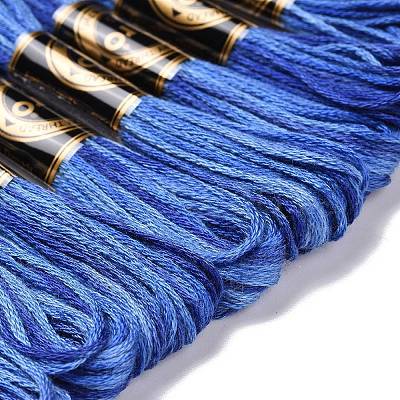 10 Skeins 6-Ply Polyester Embroidery Floss OCOR-K006-A21-1