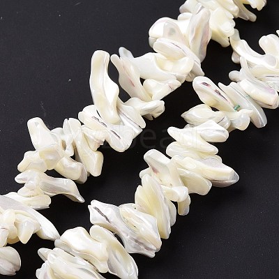Natural Trochid Shell Beads Strands X-SSHEL-G023-05B-1