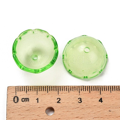 Transparent Acrylic Bead Caps OACR-Z030-03B-1