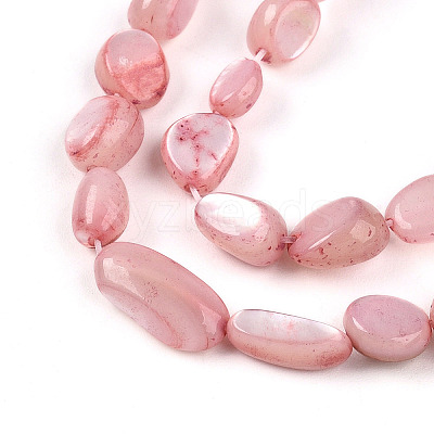 Natural White Shell Beads Strands SHEL-N036-21G-1