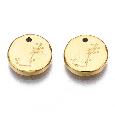 316 Surgical Stainless Steel Charms STAS-S116-418J-G-1