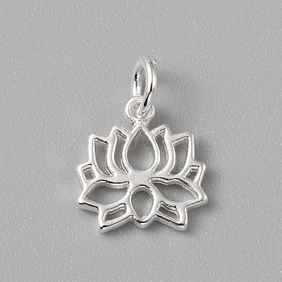 Brass Charms LS-FIND-WH0159-63S-05-1