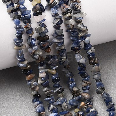 Natural Sodalite Chips Beads Strands F024-1