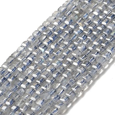 Natural Labradorite Beads Strands X-G-D470-07-1