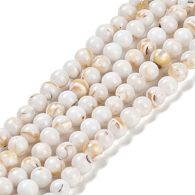 Assembled Synthetic Stone and Trochus Shell Beads Strands G-B128-08A-01-1