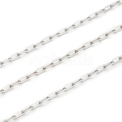 Non-Tarnish 304 Stainless Steel
Paperclip Chains STAS-H111-03P-1
