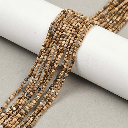 Natural Picture Jasper Beads Strands G-P457-B01-52-1