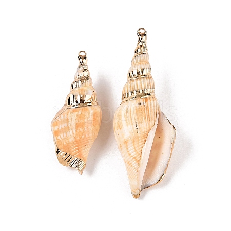 Natural Conch Shell Big Pendants SSHEL-N038-25-1