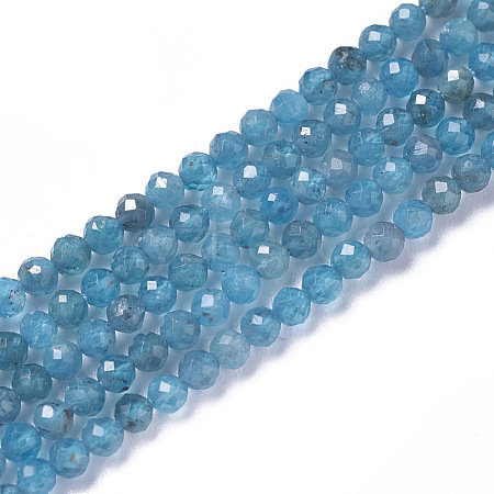 Natural Apatite Beads Strands G-F596-29-3mm-1