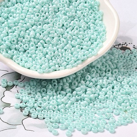 Baking Paint Glass Seed Beads SEED-P006-03A-29-1