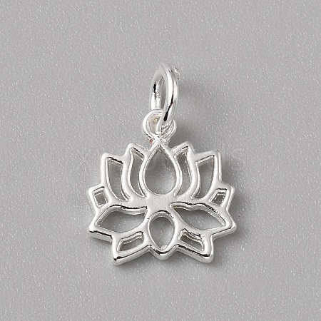 Brass Charms LS-FIND-WH0159-63S-05-1